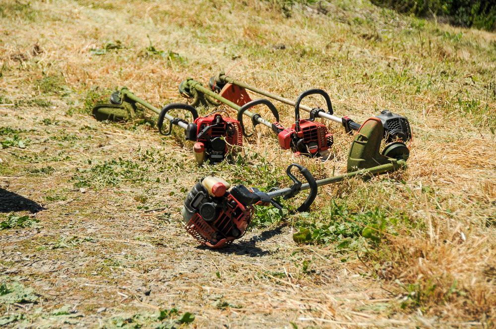 Trimmers laying on fresh cut grass